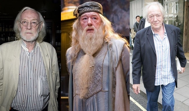 Dumbledore Actors: Who Has Played The 'Harry Potter' Character?